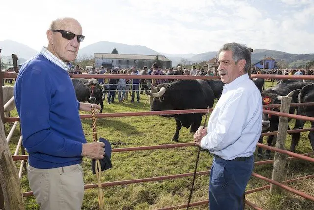 Feria anual de San Felices de Buelna
