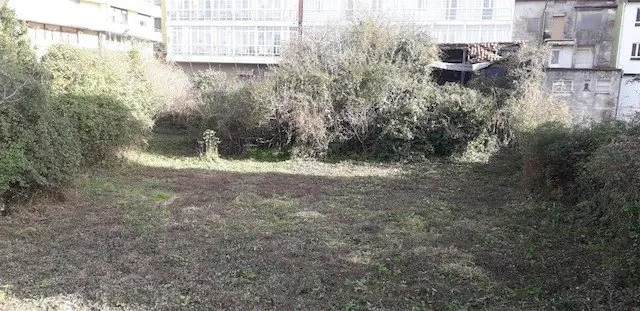 Imagen de los solares