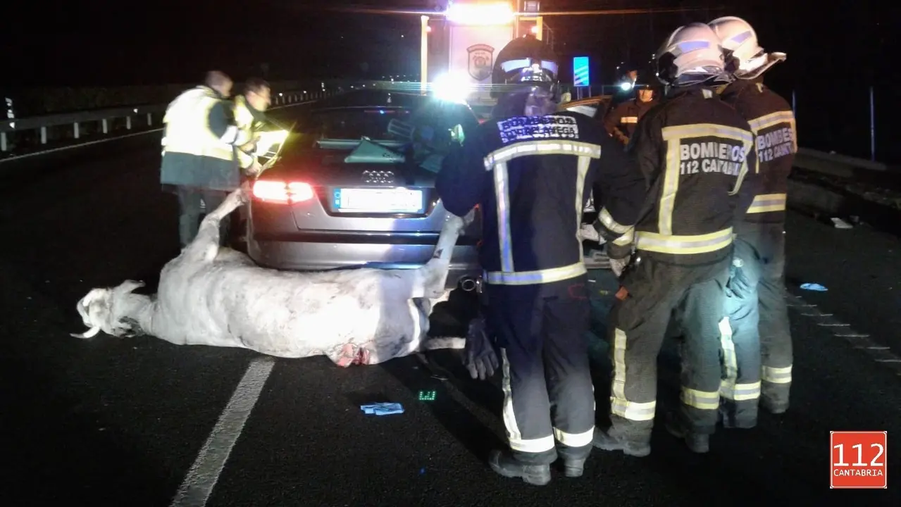 Accidente A8-Foto 112