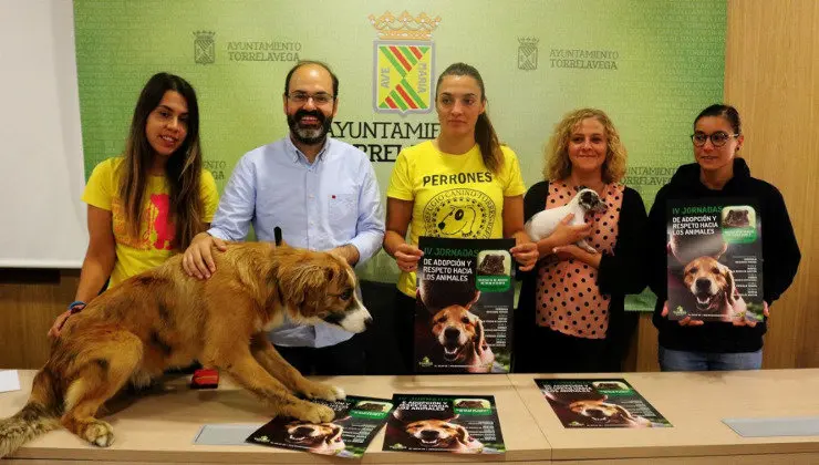 bff47af7018f4f166ef78d16222649e2_XL