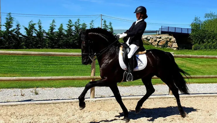 EuropaPress_2261833_Doma_cl&aacute;sica