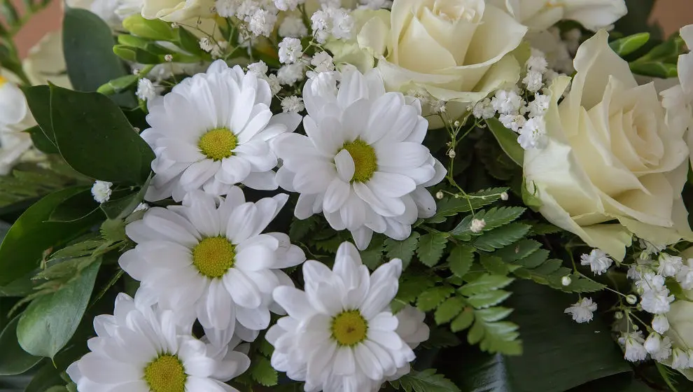 La demanda por servicios funerarios est&aacute; en pleno auge