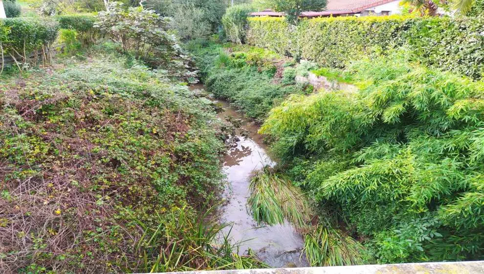 Limpieza en el r&iacute;o Cabo