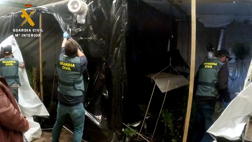 La Guardia Civil desmantela un grupo que usaba una asociaci&oacute;n cann&aacute;bica para vender drogas