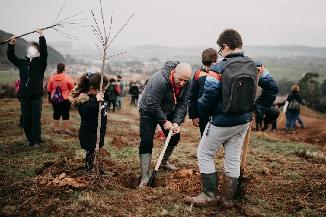 Plantaci&oacute;n de &aacute;rboles. Foto| Archivo