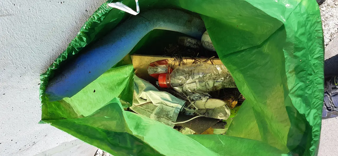Mascarillas y guantes entre los residuos recogidos del litoral