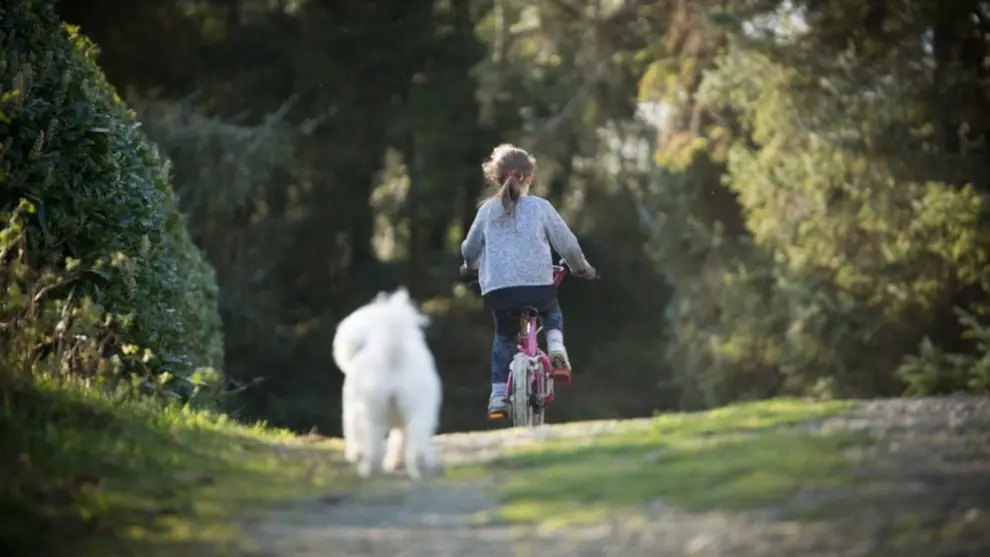 Imagen de una niña en bicicleta acompañada de su perro facilitada por la Universitat Rovira i Virgili de Tarragona