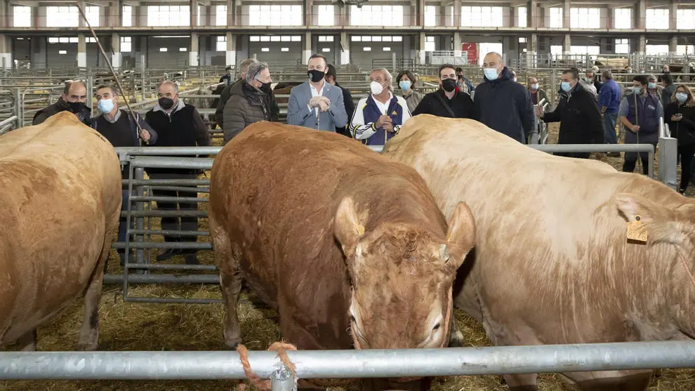El Consejero de Desarrollo Rural, Ganadería, Pesca, Alimentación y Medio Ambiente, Guillermo Blanco, visita el Mercado Nacional de Ganados, junto al alcalde de Torrelavega, Javier López Estrada