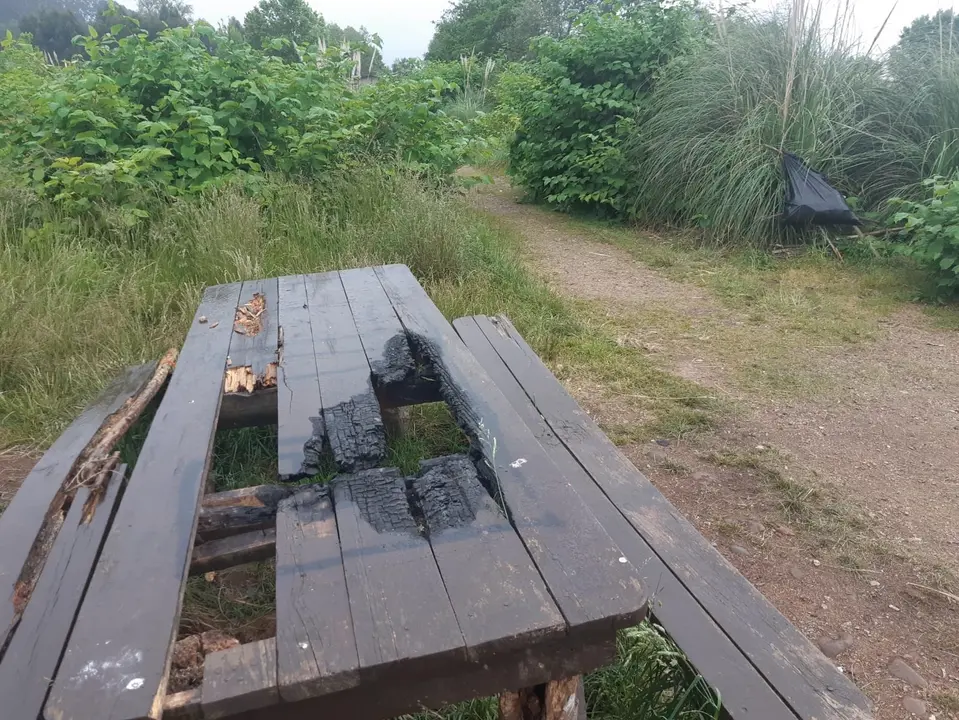 Zona del m&aacute;rgen del Besaya