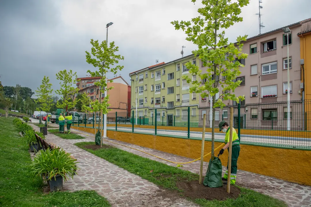 Plantaci&oacute;n de arbolado en Torrelavega