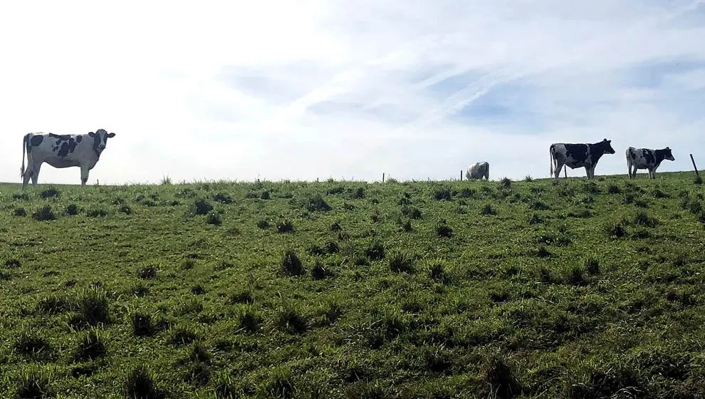 La Comisión Europea aprueba la propuesta de Desarrollo Rural que posibilitará la %22rápida%22 incorporación de recursos económicos