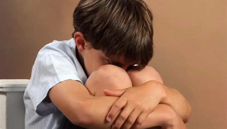 Cuatro menores en Cantabria, en riesgo de sufrir violencia vicaria