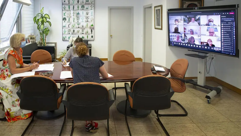 La Consejera De Educación Y Formación Profesional, Marina Lombó, Inicia Una Ronda De Reuniones Telemáticas Con La Comunidad Educativa