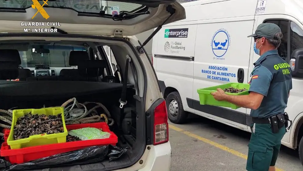  Entrega al Banco de Alimentos de percebes intervenidos por la Guardia Civil