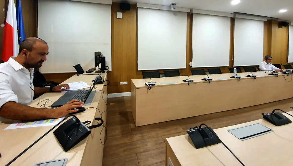 Javier López Estrada y Pedro Pérez Noriega durante el Pleno telemático