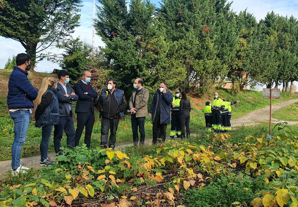 Visita de miembros de la Corporac&oacute;n al 'Patatal