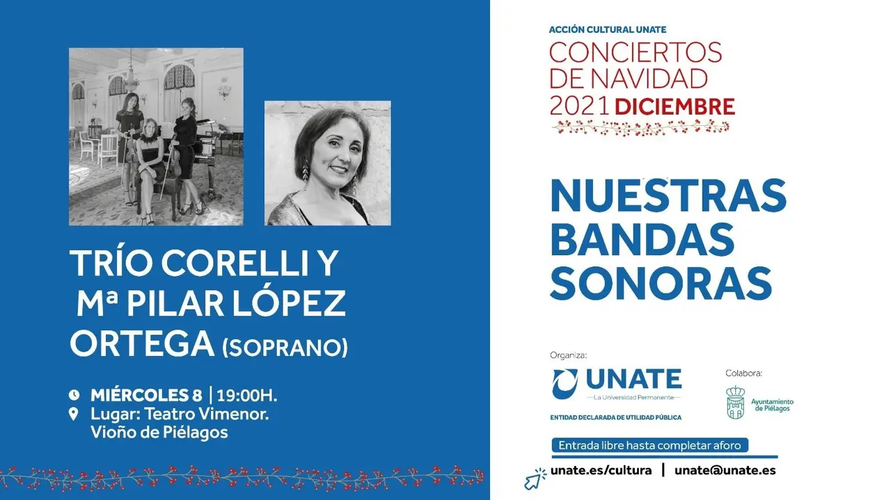 Cartel del concierto de bandas sonoras