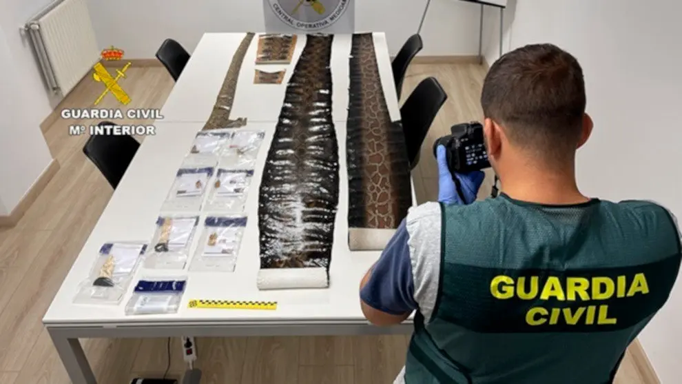 Guardia Civil recupera 100 piezas de marfil, pieles de serpientes y lagartos dispuestos para su venta ilegal en el País Vasco