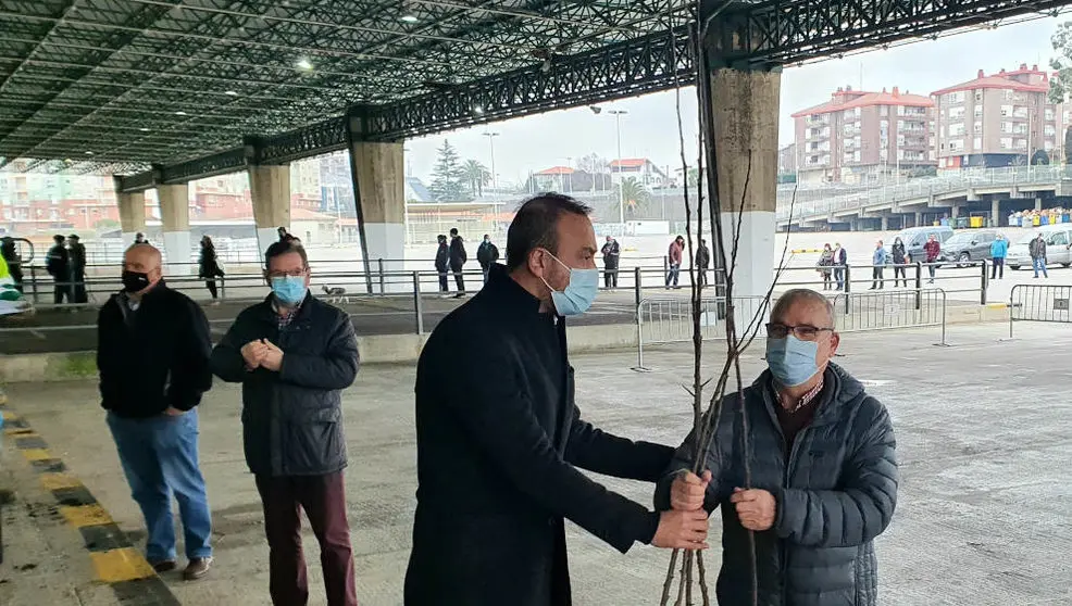 Reparto de ejemplares de la campaña del árbol