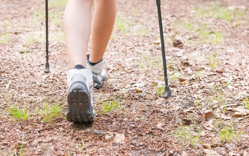 Marcha n&oacute;rdica