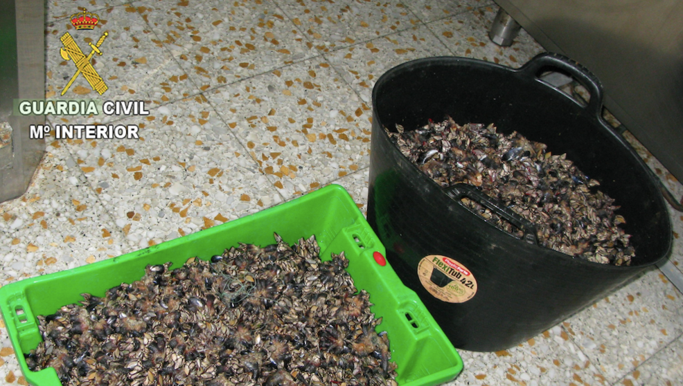 Percebes interceptados