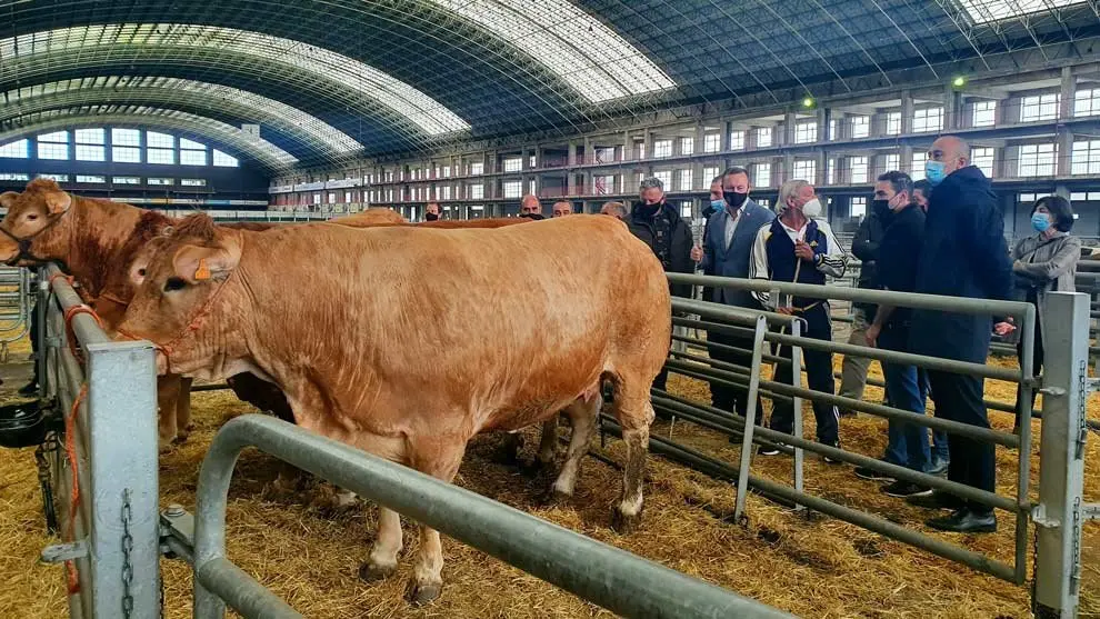 Mercado Nacional de Ganados de Torrelavega