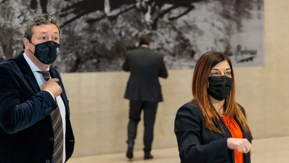 El portavoz del PP en el Parlamento de Cantabria, Íñigo Fernández, y la presidenta del PP de Cantabria, María José Sáenz de Buruaga, en la investidura de Alfonso Fernández Mañueco como presidente de Castilla y León