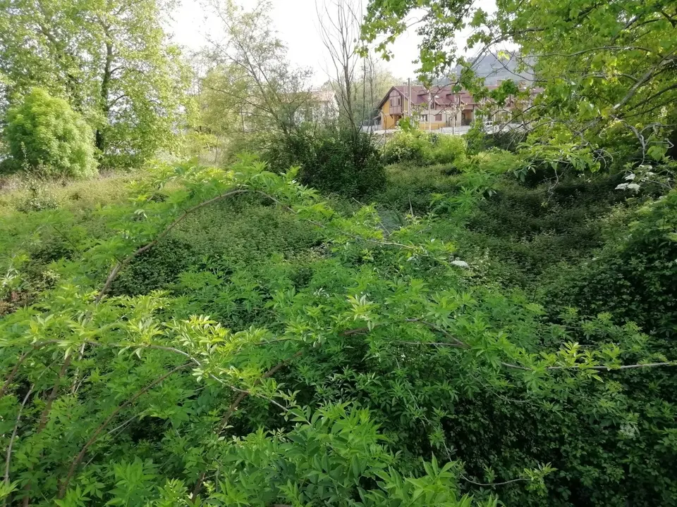 Finca en la que se ubicaba la casa natal del poeta Jos&eacute; Luis Hidalgo, en Torres