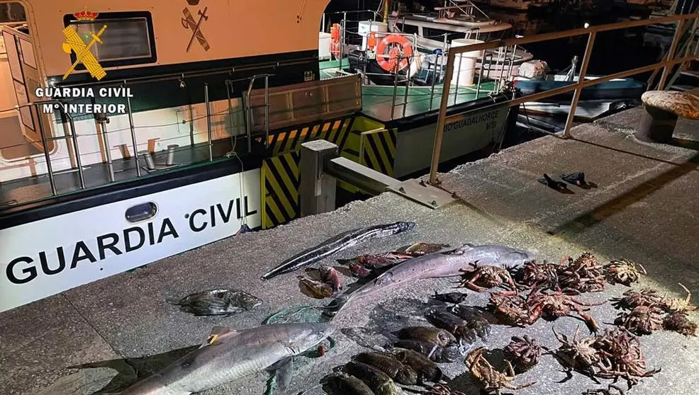 600 Metros De Red Para Pesca Furtiva