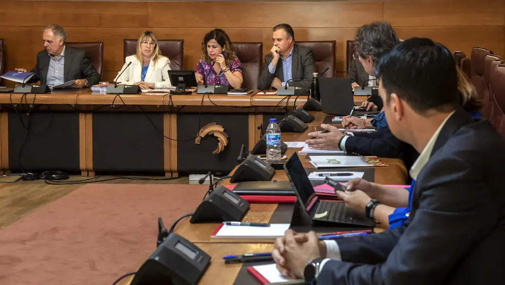 La consejera de Empleo y Políticas Sociales, Eugenia Gómez de Diego, comparece, a petición propia, ante la Comisión de Empleo del Parlamento