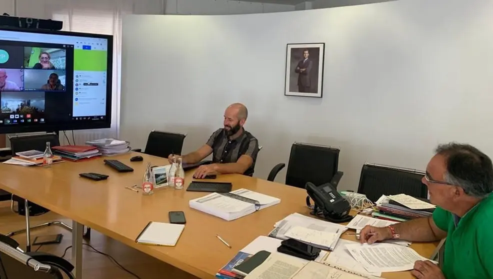 El consejero de Sanidad, Raúl Pesquera, y el director de Salud Pública, Reinhard Wallmann, se reúnen de forma telemática con representantes de CEOMA