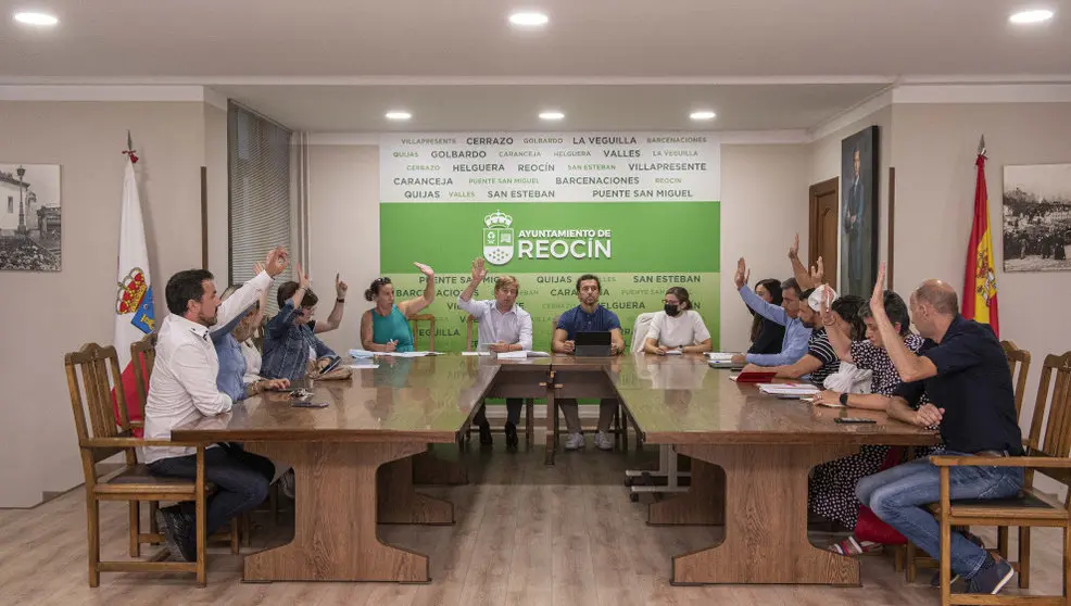 Pleno del Ayuntamiento