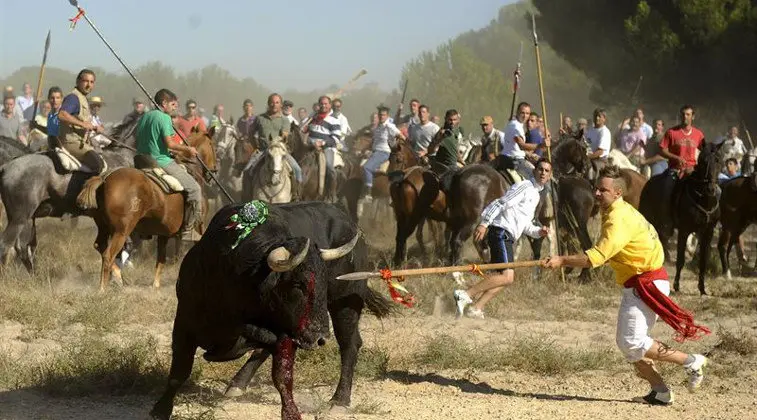 Celebración del Toro de la Vega | Foto- Archivo