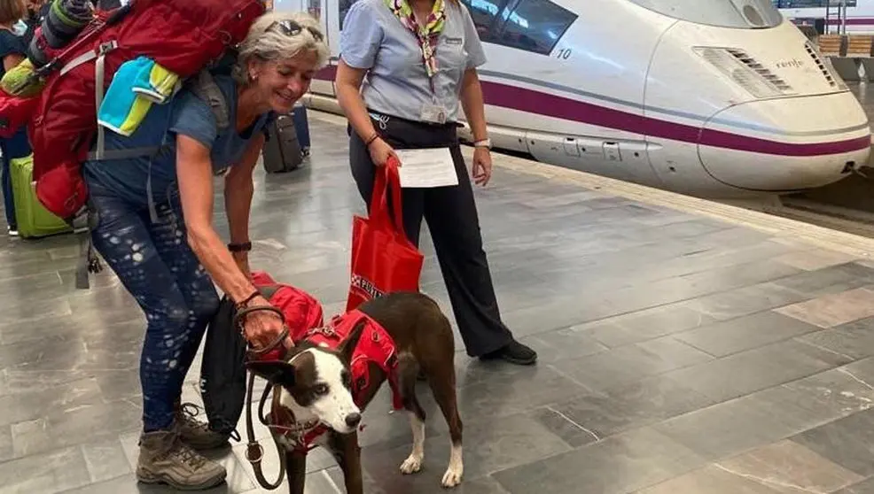Una perrita de tres años, la primera mascota de hasta 40 kilos que viaja en un AVE desde Zaragoza-Delicias