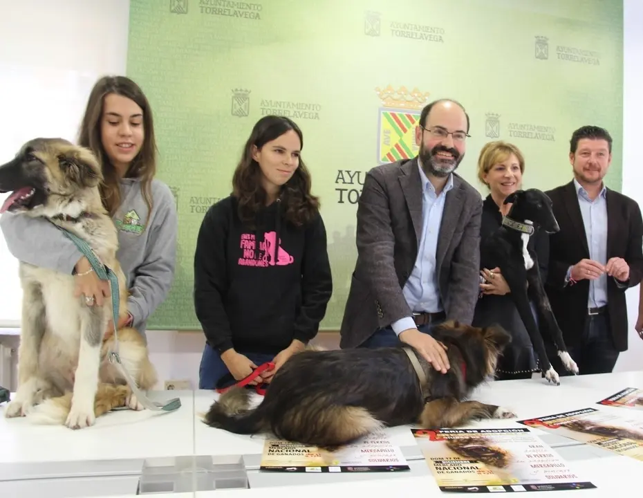 Rueda de prensa de la convocatoria de subvenciones a proyectos de bienestar animal