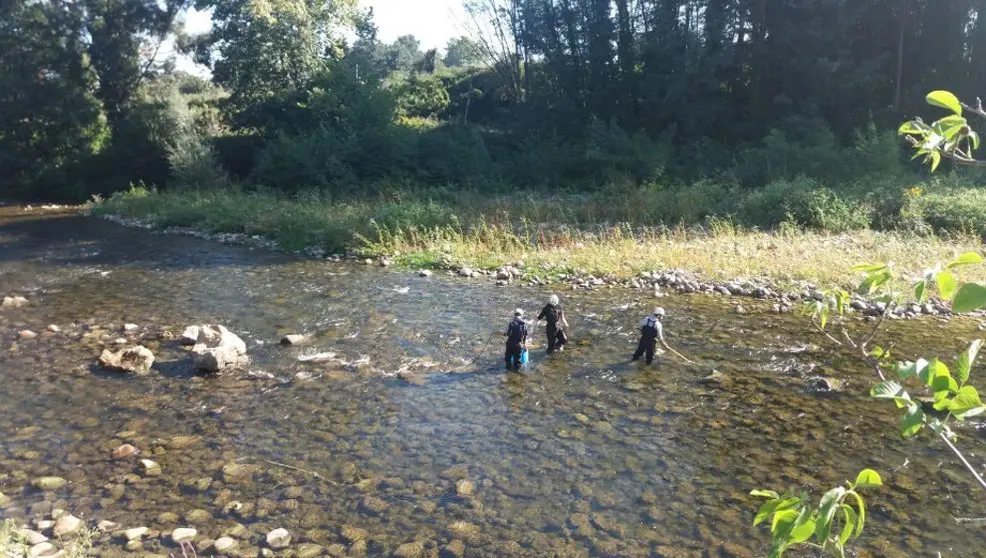 Actuaciones de mejora