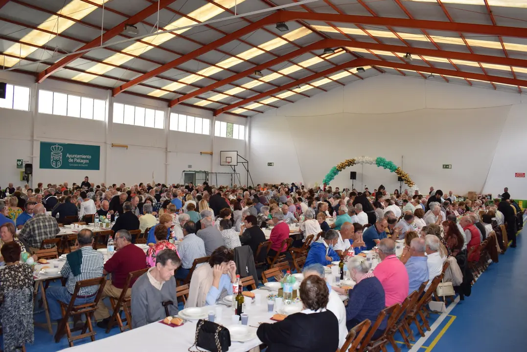 Medio millar de vecinos de Pi&eacute;lagos mayores de 60 a&ntilde;os comparten mesa en la tradicional comida de hermandad en Vio&ntilde;o