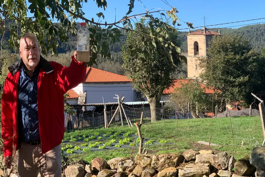 Trampeo avispa asi&aacute;tica