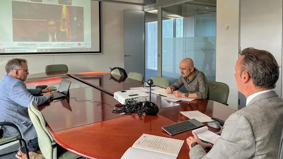 El Consejero de desarrollo rural, Guillermo Blanco, se reúne con eurodiputados por videoconferencia para tratar la situación del lobo