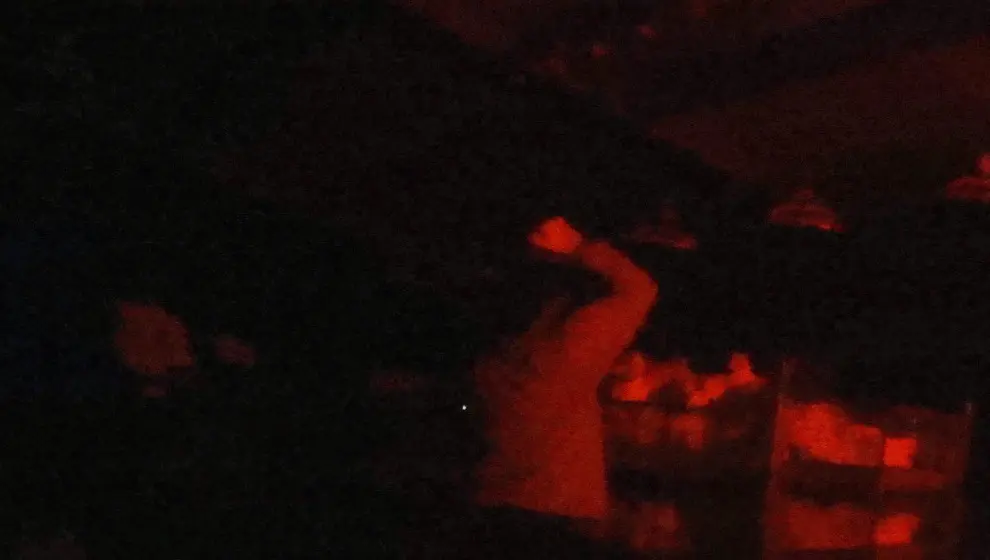 La gesti&oacute;n de las aves muertas supone un potencial riesgo para la salud p&uacute;blica