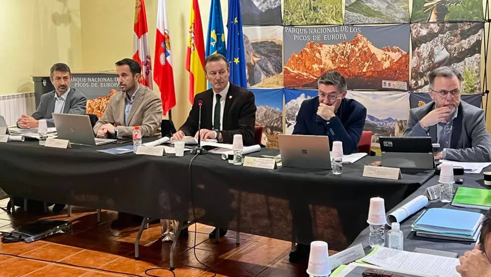 Patronato del Parque Nacional Pìcos de Europa