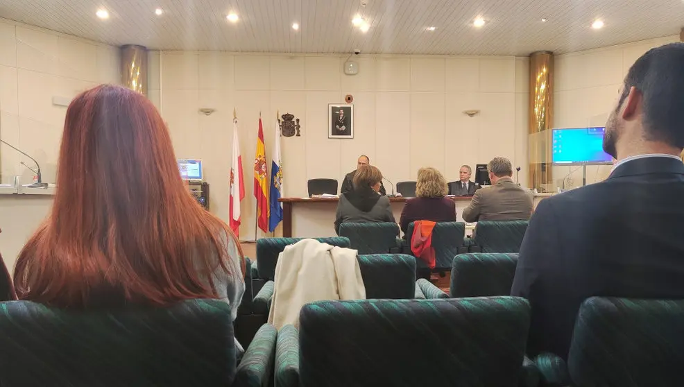 Los peritos testifican en el juicio del acusado de matar a su madre de 80 años en Santander