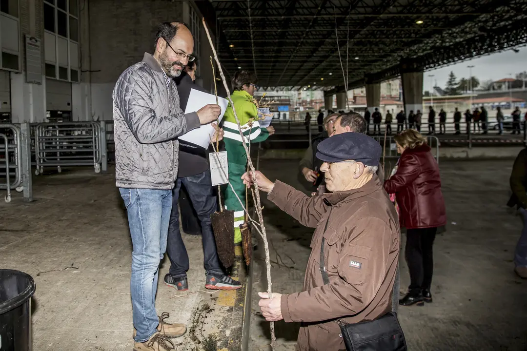 Reparto de ejemplares en la campa&ntilde;a del &aacute;rbol de Torrelavega