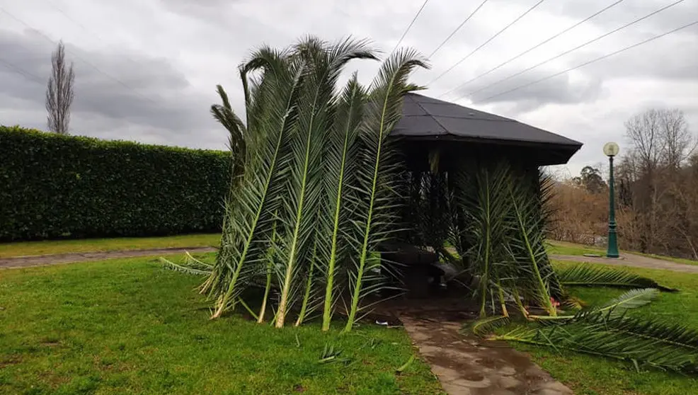 Foto- Twiiter de Torrelavega se Mueve