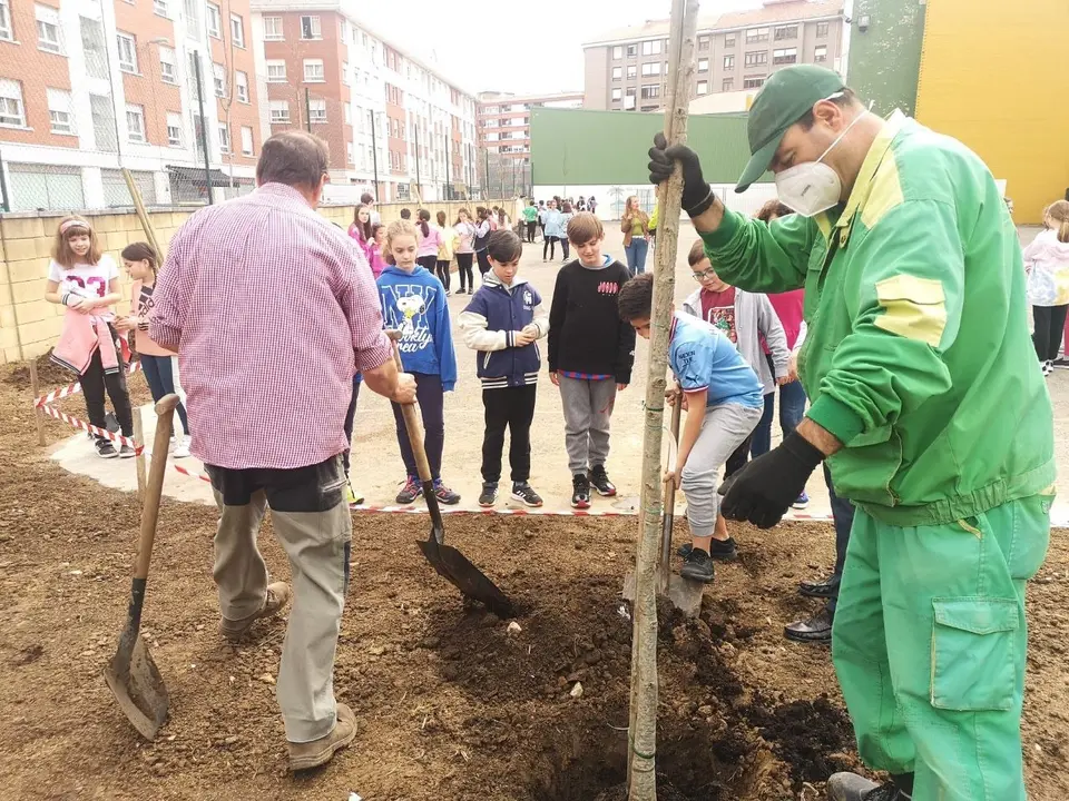 Alumnos del Colegio Cervantes de Torrelavega cambian el hormig&oacute;n de su patio por &aacute;rboles y c&eacute;sped