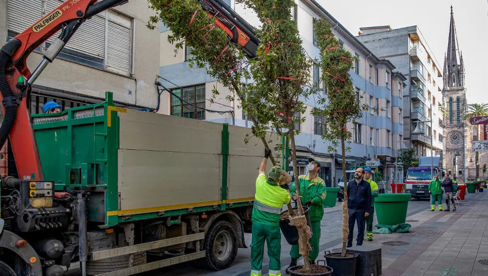 El Ayuntamiento coloca las jardineras que darán color a la calle