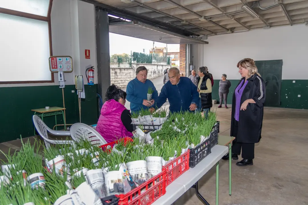 La alcaldesa de Polanco, Rosa D&iacute;az, participa en el reparto de plantas de cebolla en el inicio de la campa&ntilde;a de huertos naturales