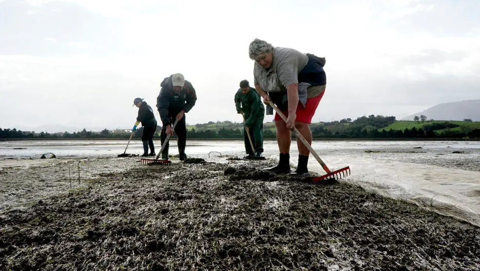 Mariscadores en Pedreña
