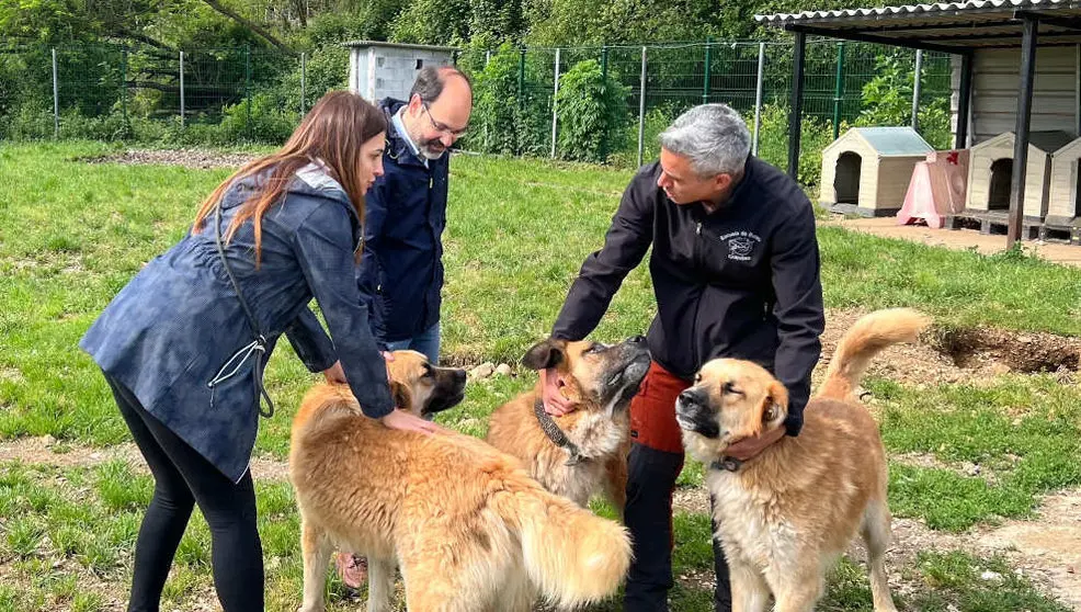 Pablo Zuloaga y José Luis Urraca en el refugio canino de Torres
