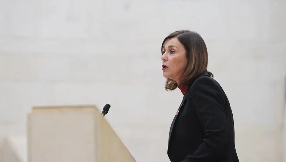 La consejera de Presidencia, Paula Fern&aacute;ndez, en el Parlamento